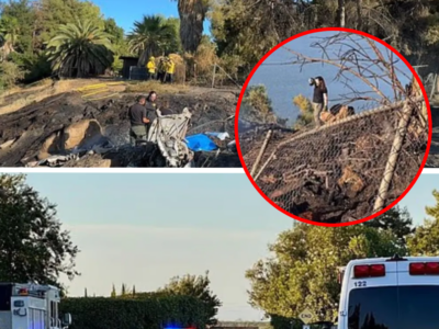 Solo unas horas después de que dos pilotos muri3:ran en un accidente de avión de comb@te en Grecia, dos n!:ños p3:rdieron trágic@mente la v!da en un t3:rrible accidente aéreo en California
