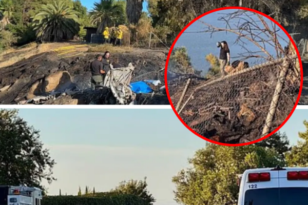 Solo unas horas después de que dos pilotos muri3:ran en un accidente de avión de comb@te en Grecia, dos n!:ños p3:rdieron trágic@mente la v!da en un t3:rrible accidente aéreo en California